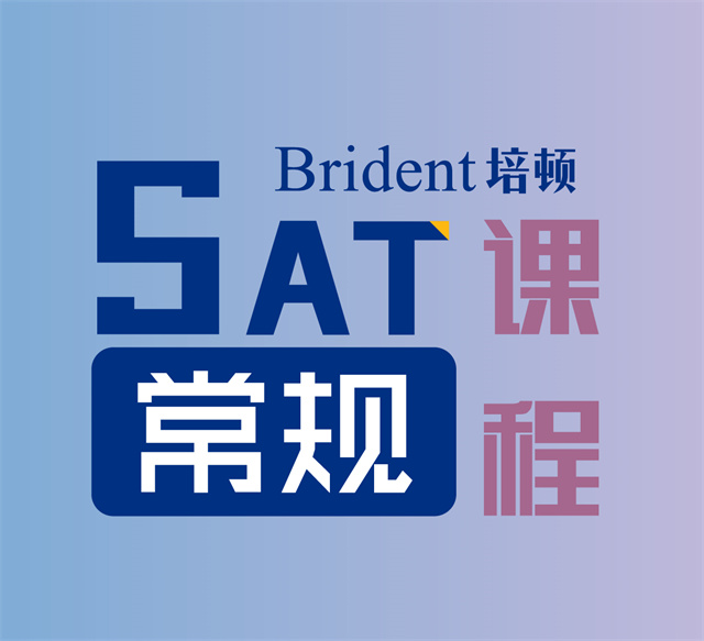 SAT一对一常规课程